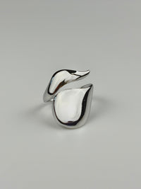 Anello Regular Wavelet