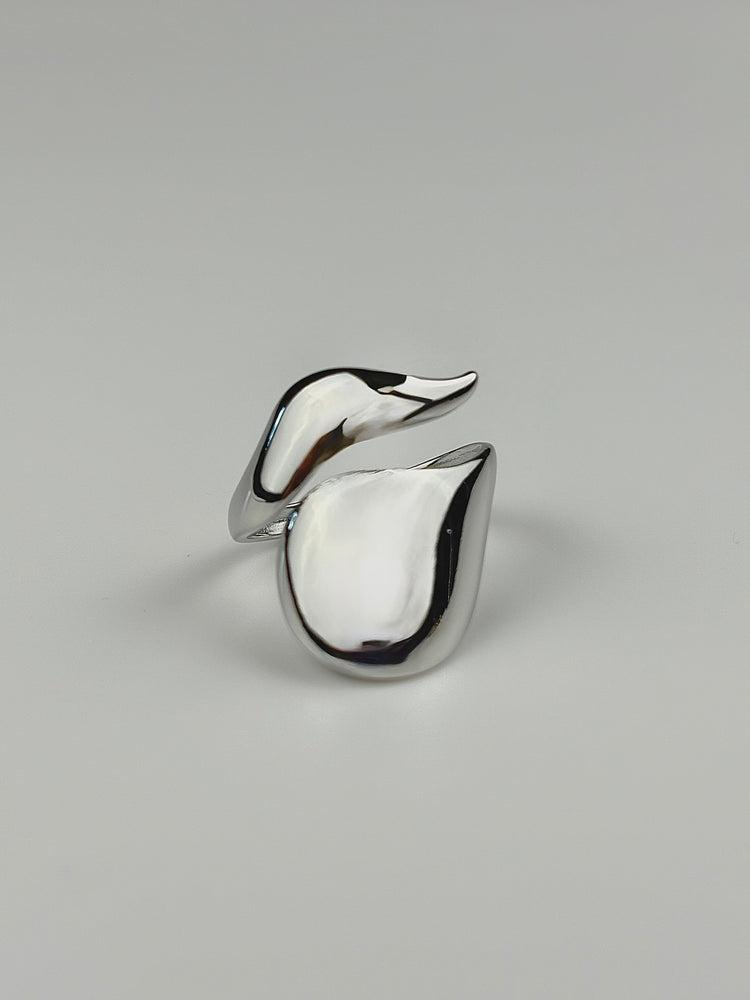 Anello Regular Wavelet