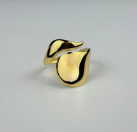 Anello Regular Wavelet