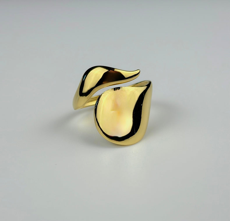 Anello Regular Wavelet